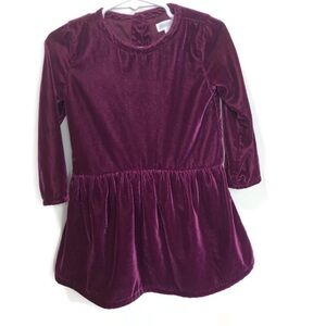 Gymboree Plum Velvet Dress size 2T